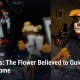 Fostoria News: A woman in La Catrina makeup holds orange cempasuchil marigolds beside a Day of the Dead altar, with headline: Marigolds: The Flower Believed to Guide Spirits Home